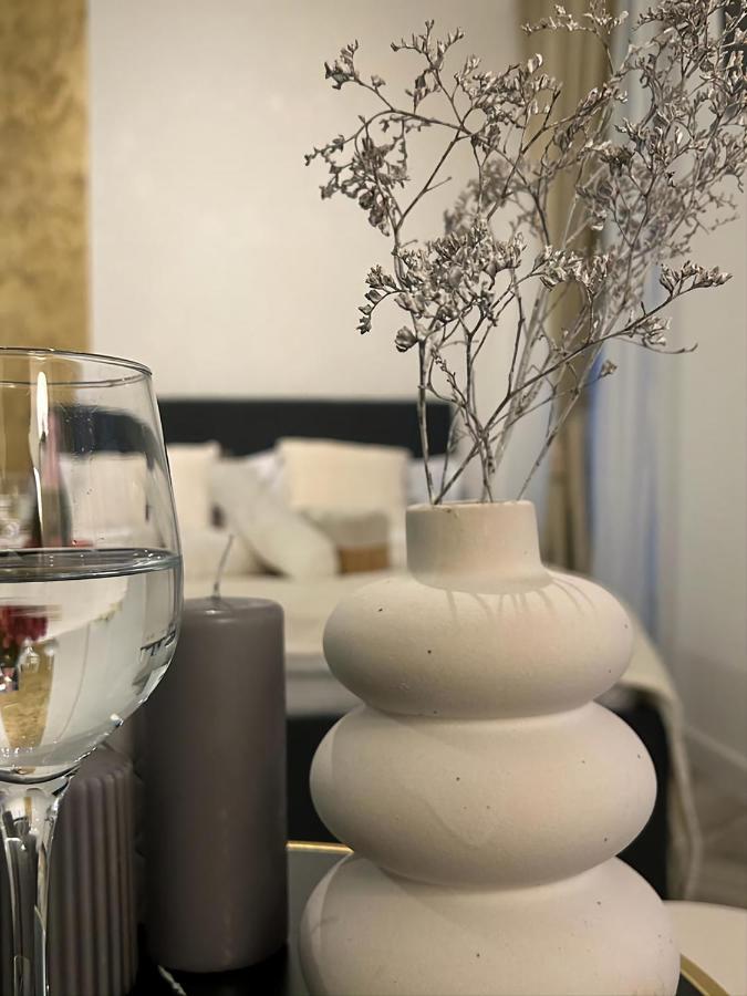 Apartmán Luxury Mansion Bukurešť Exteriér fotografie