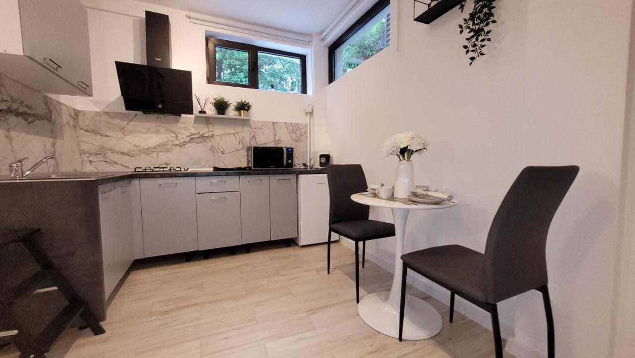 Apartmán Luxury Mansion Bukurešť Exteriér fotografie