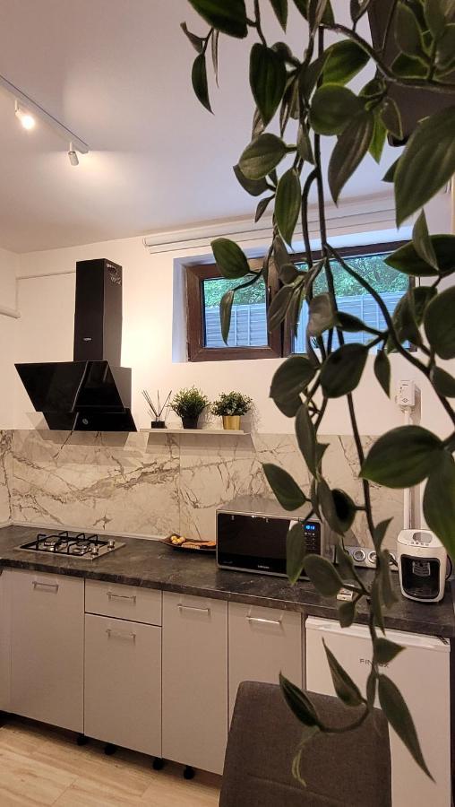 Apartmán Luxury Mansion Bukurešť Exteriér fotografie