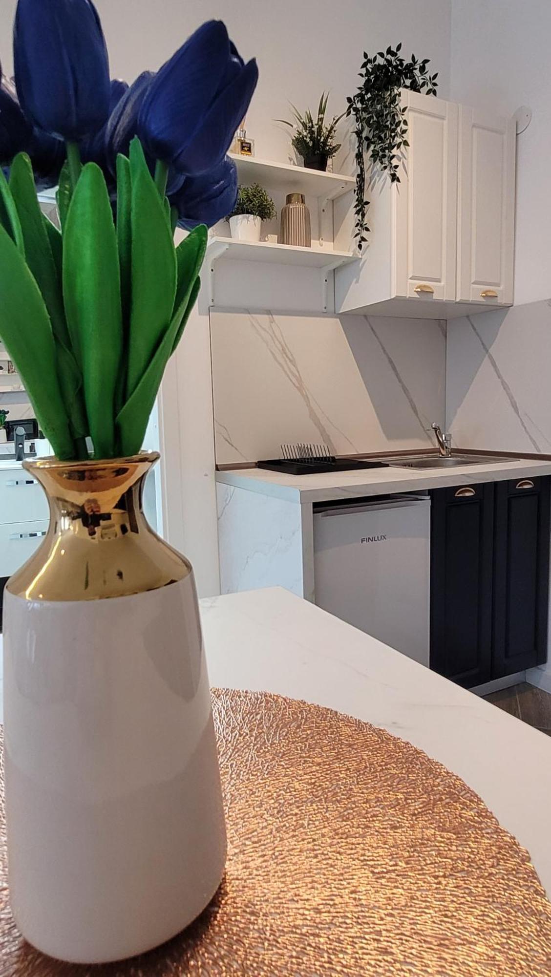 Apartmán Luxury Mansion Bukurešť Exteriér fotografie
